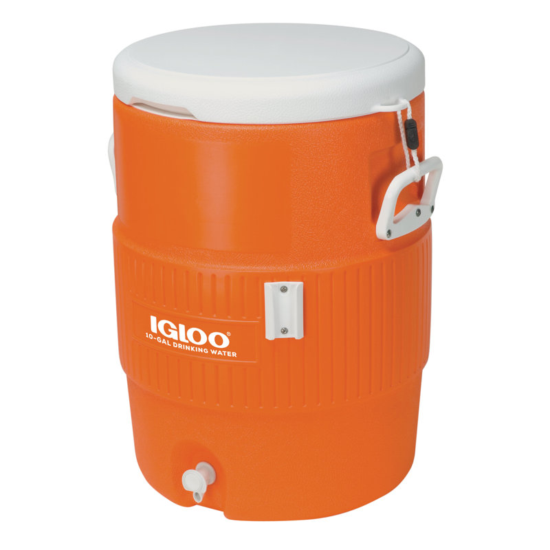 Igloo 10 Gallon Water Ice Chest Cooler & Reviews Wayfair